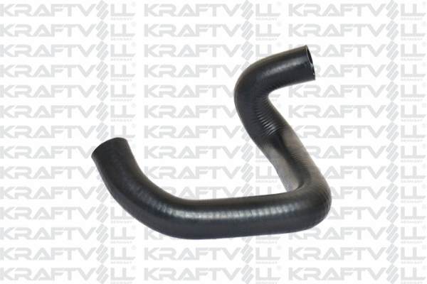 Radiator Hose (10031020)