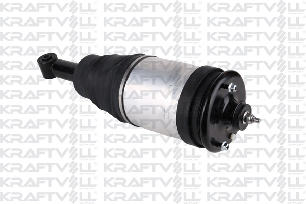 Air Suspension Strut (15060034)