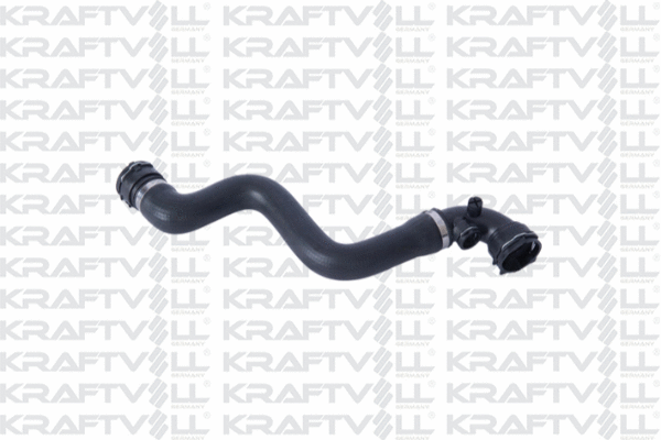 Radiator Hose (10031521)
