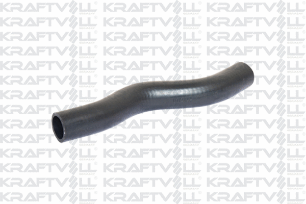 Radiator Hose (10031768)