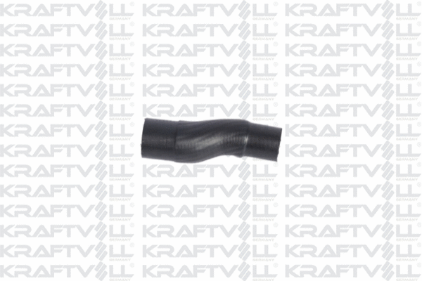 Radiator Hose (10031900)