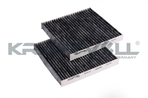 Filter, cabin air (06040103)