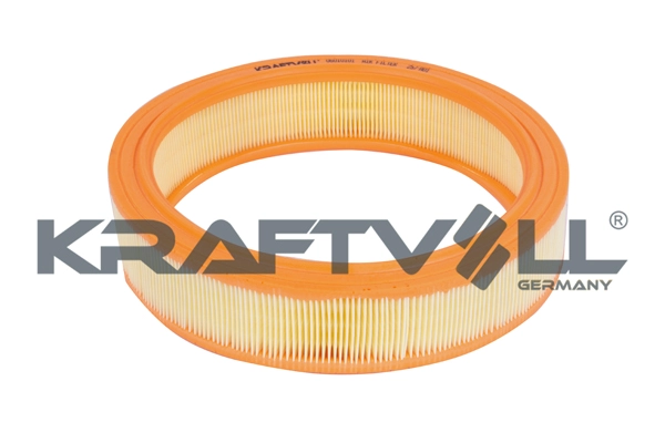 Air Filter (06010101)