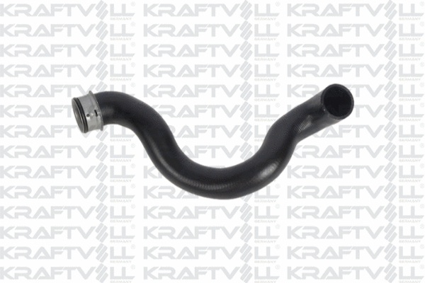 Radiator Hose (10033142)