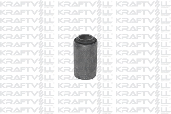 Mounting, control/trailing arm (10050231)