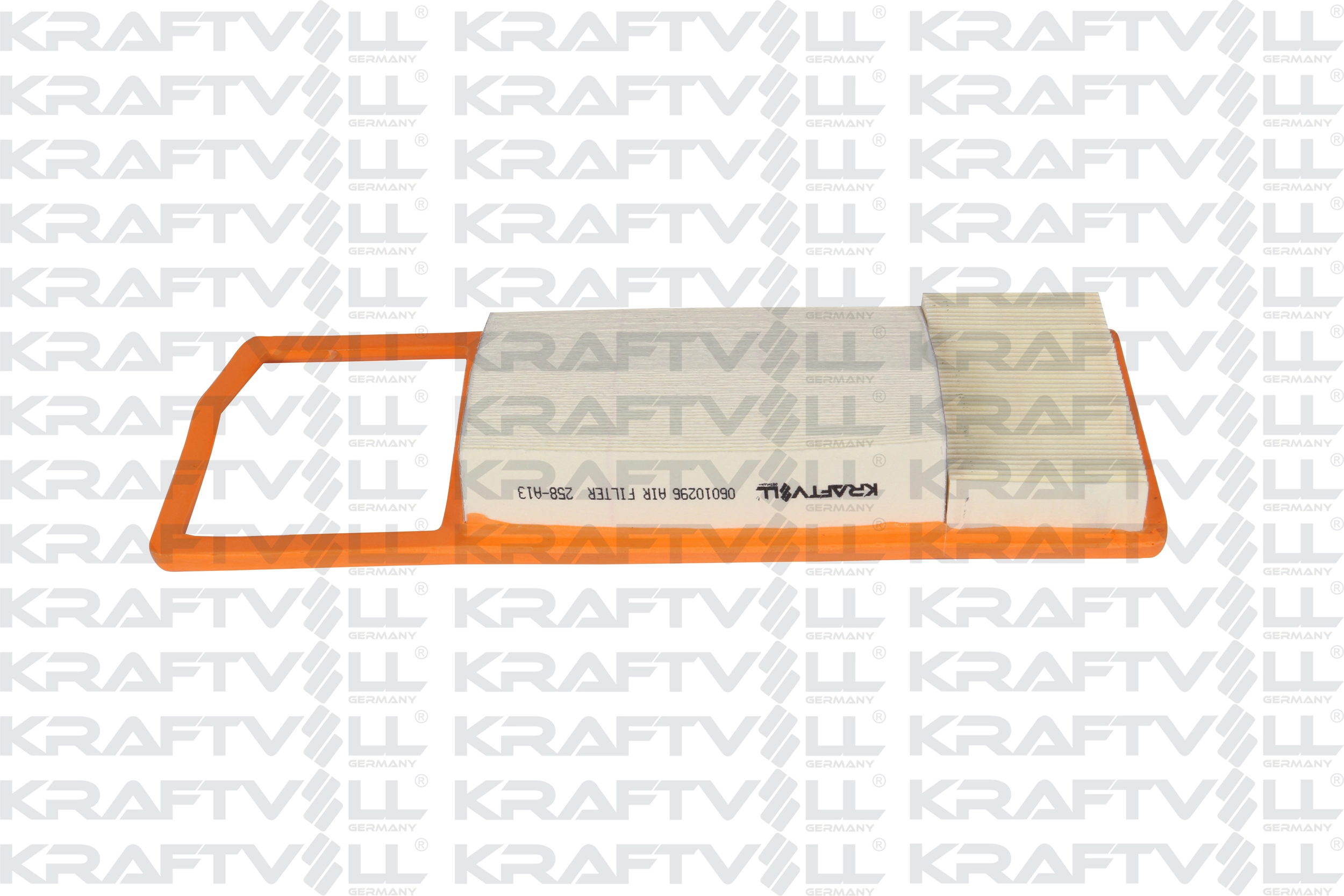 Air Filter (06010296)