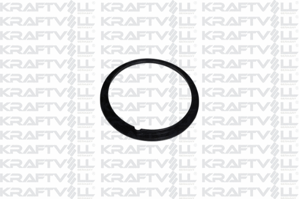 Seal, fuel tank cap (10031393)