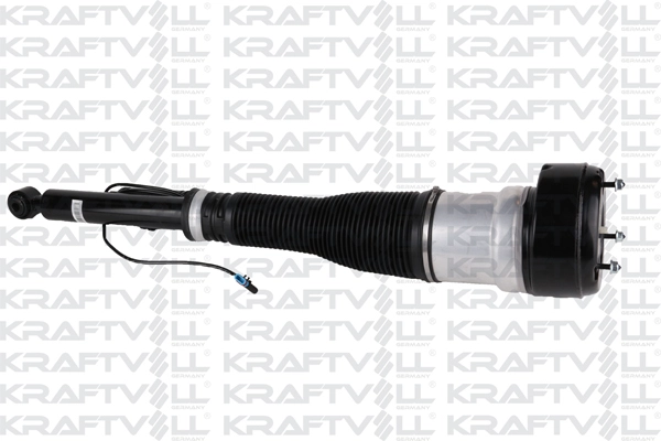 Air Suspension Strut (15060046)