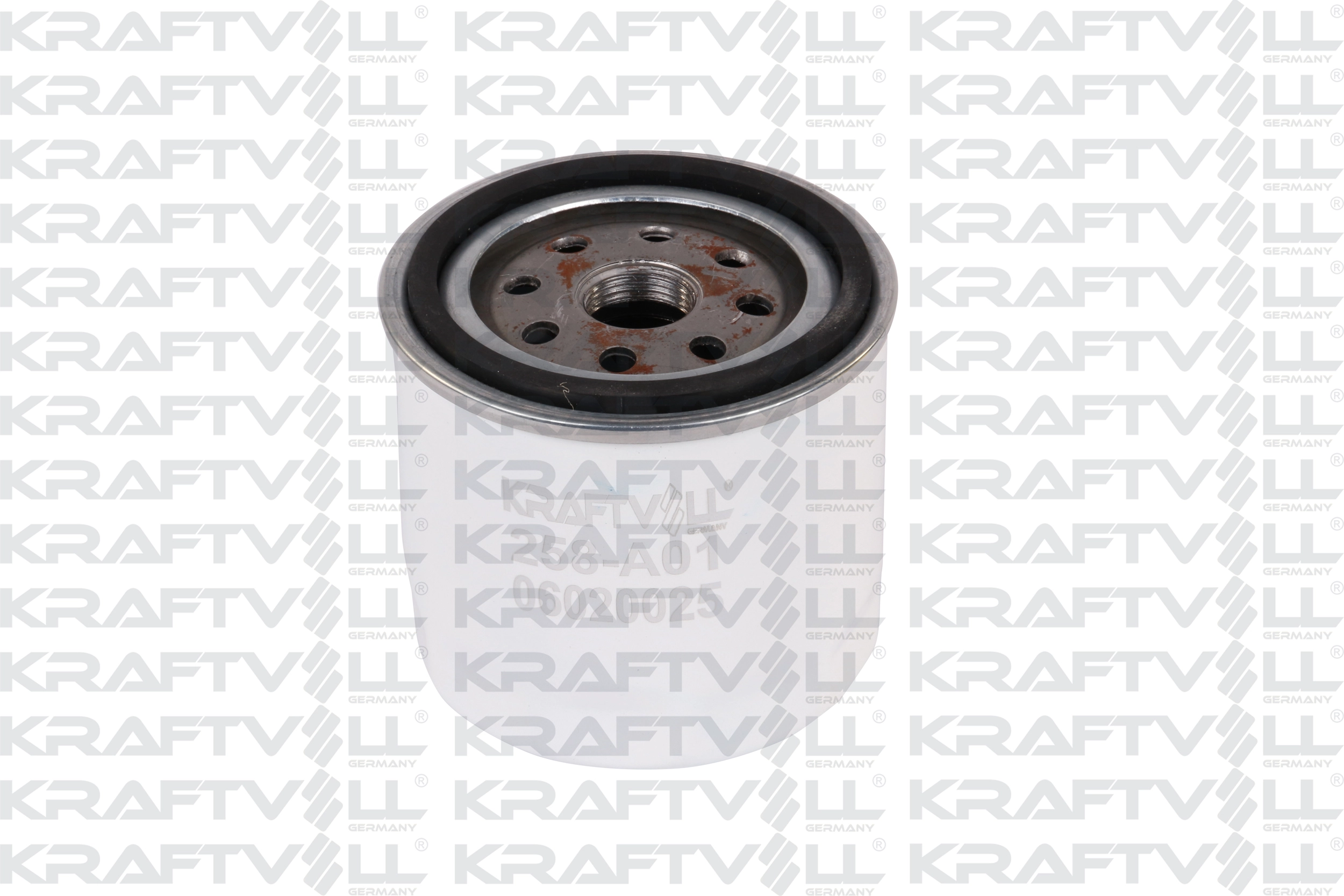 Fuel Filter (06030025)