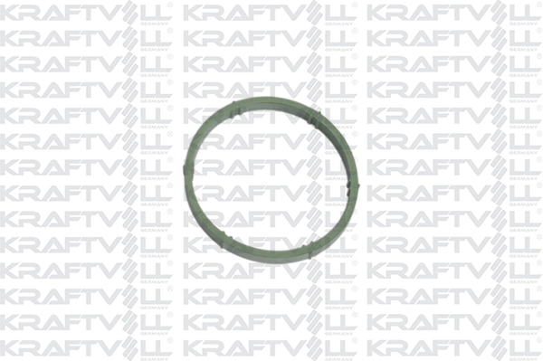 Gasket, intake manifold (10030450)