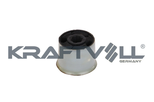 Mounting, control/trailing arm (10050138)