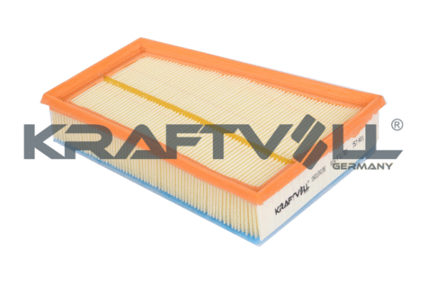 Air Filter (06010038)