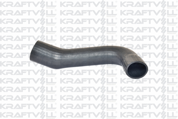 Charge Air Hose (10031926)