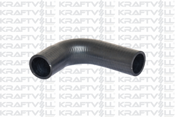 Radiator Hose (10032145)
