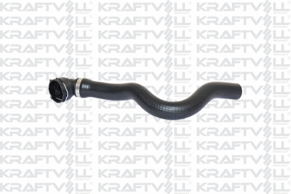 Radiator Hose (10031923)