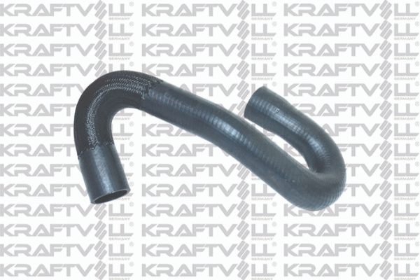 Radiator Hose (10031262)