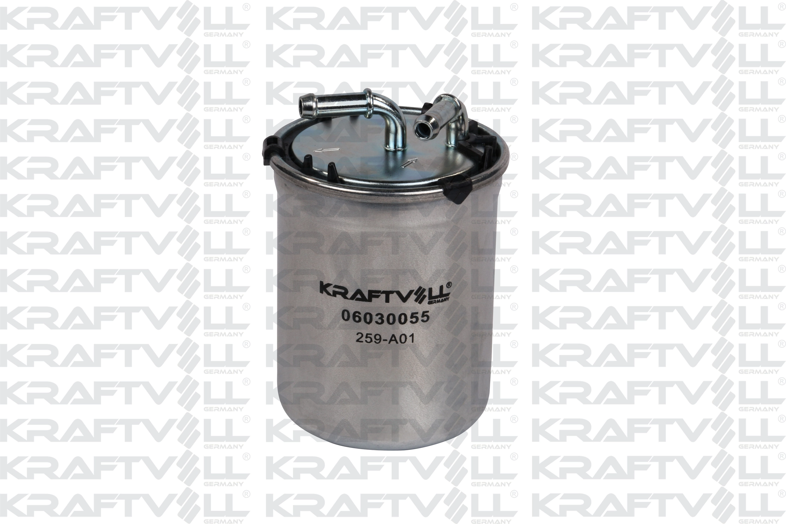 Fuel Filter (06030055)