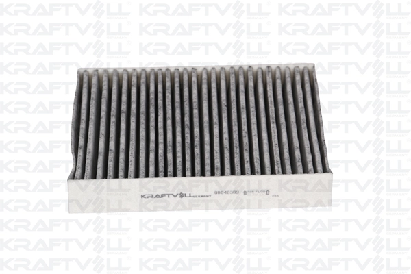 Filter, cabin air (06040389)