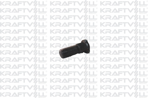 Wheel Bolt (21020016)