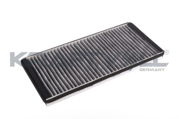 Filter, cabin air (06040137)