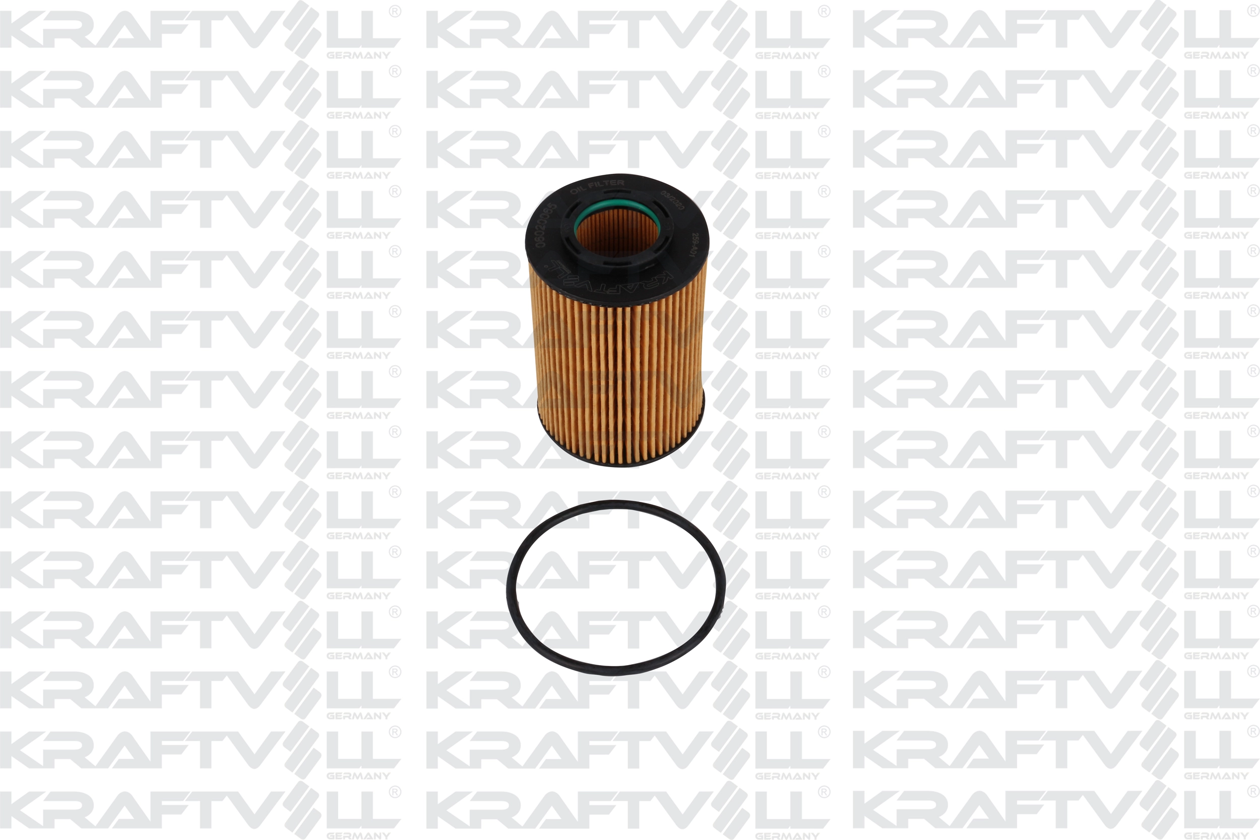 Oil Filter (06020065)
