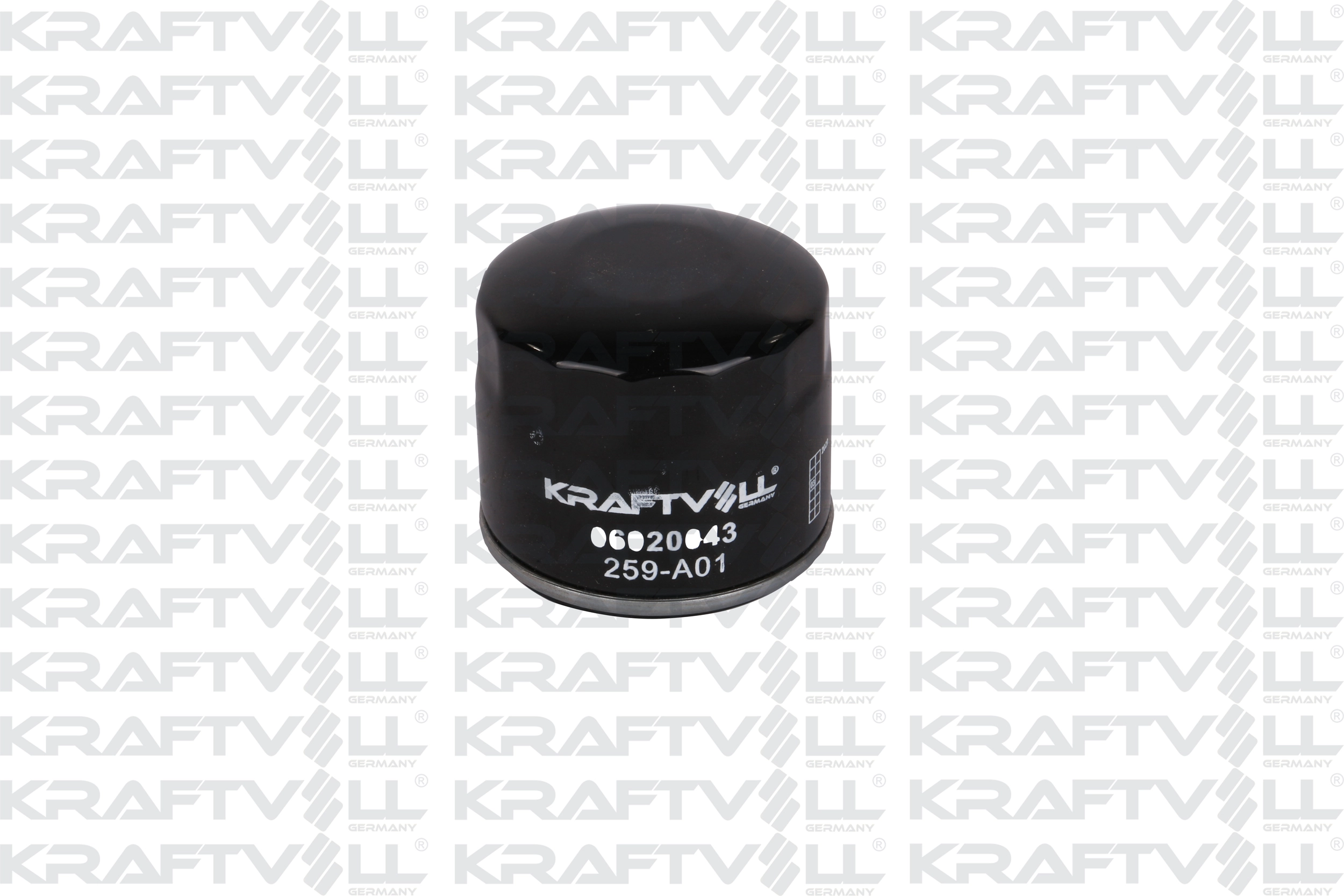 Oil Filter (06020043)