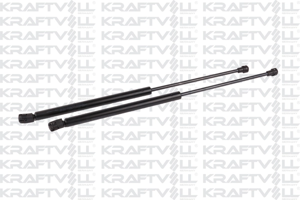 Gas Spring, bonnet (09010342)
