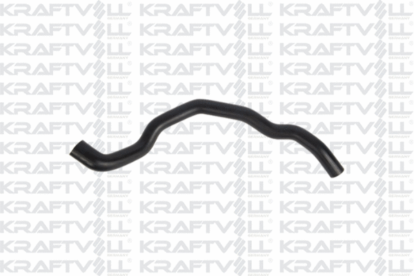 Radiator Hose (10031349)