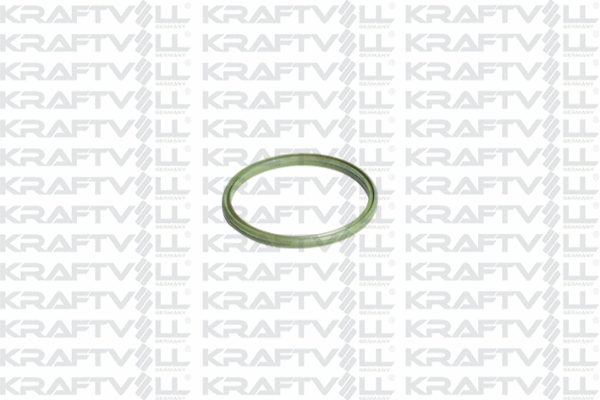 Seal Ring, charge air hose (10032126)