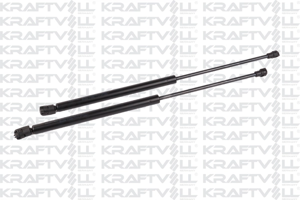 Gas Spring, bonnet (09010320)