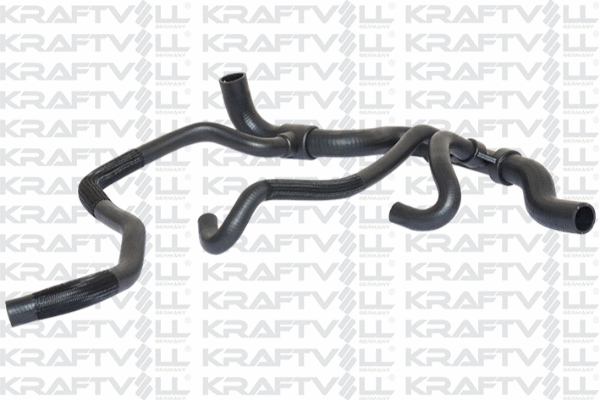 Radiator Hose (10031208)