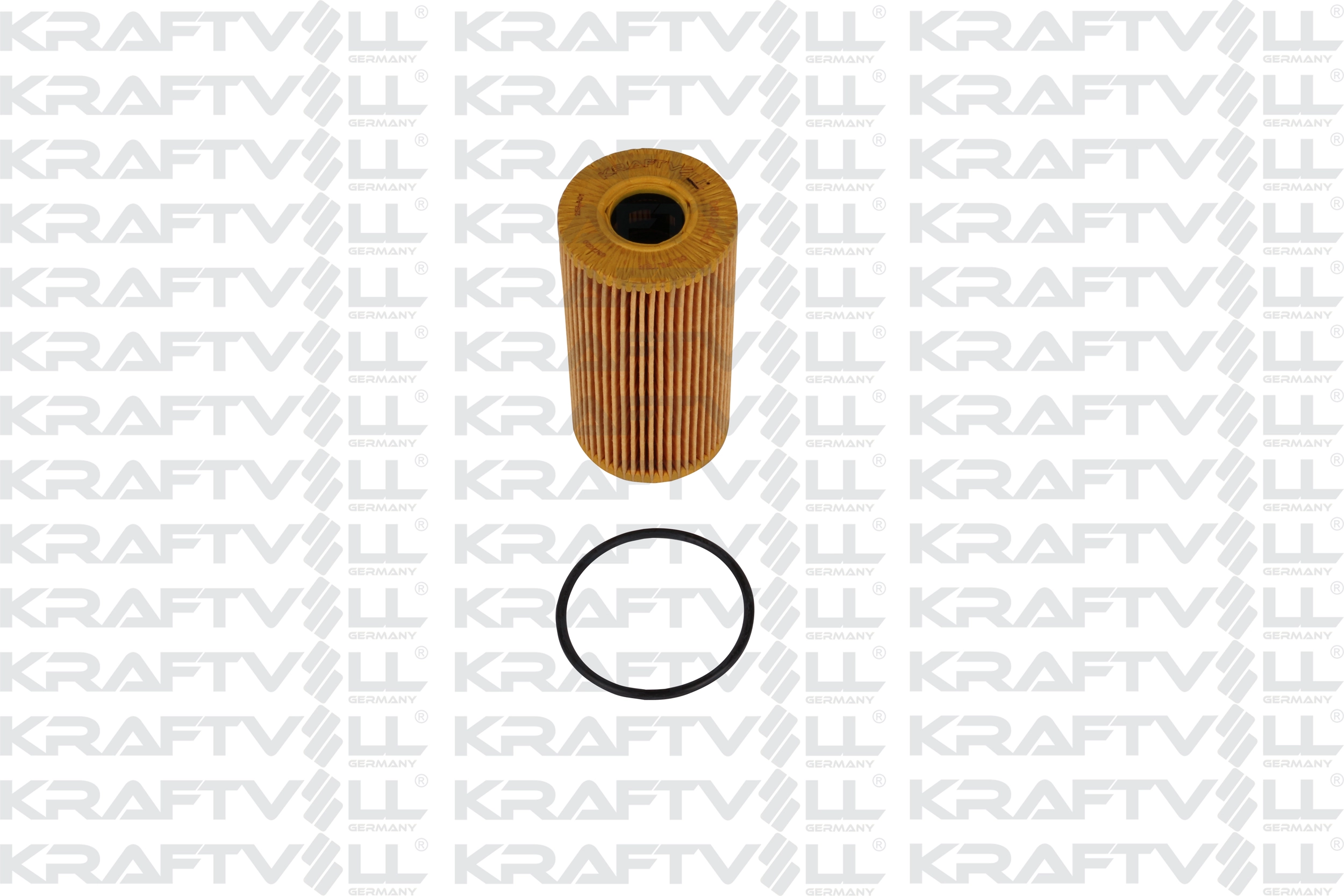 Oil Filter (06020060)