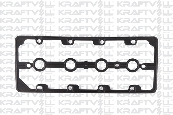 Gasket, cylinder head cover (12010248)
