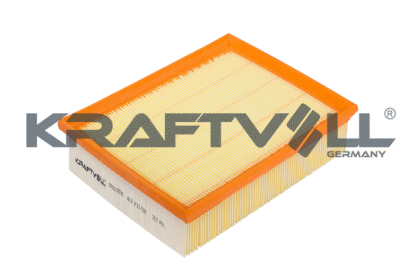 Air Filter (06010096)