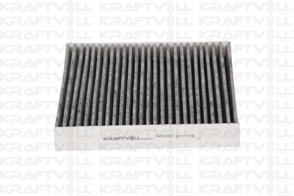 Filter, cabin air (06040348)