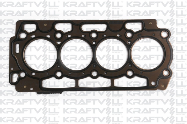 Gasket, cylinder head (12010006)