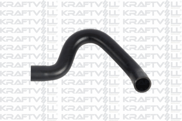 Radiator Hose (10031145)