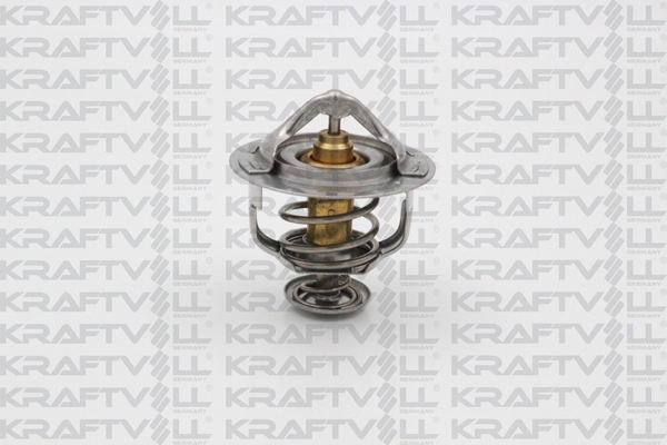 Thermostat, coolant (08110056)