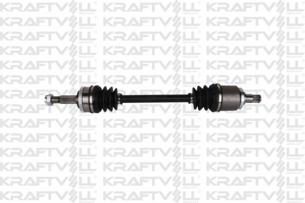Drive Shaft (01010143)