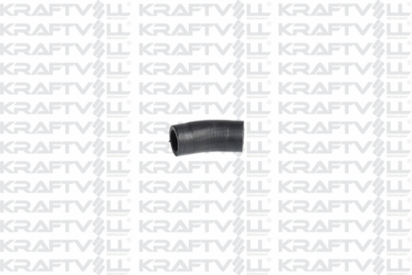 Charge Air Hose (10031780)