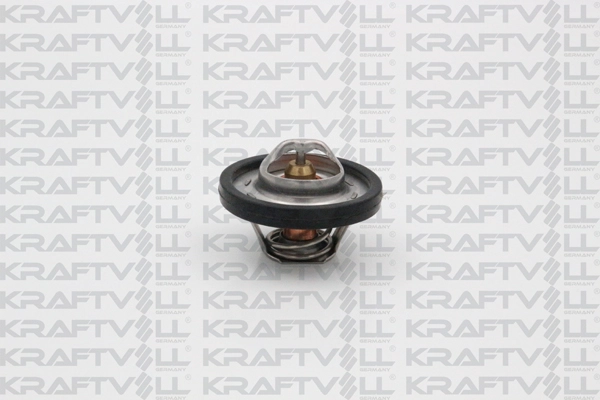 Thermostat, coolant (08110070)
