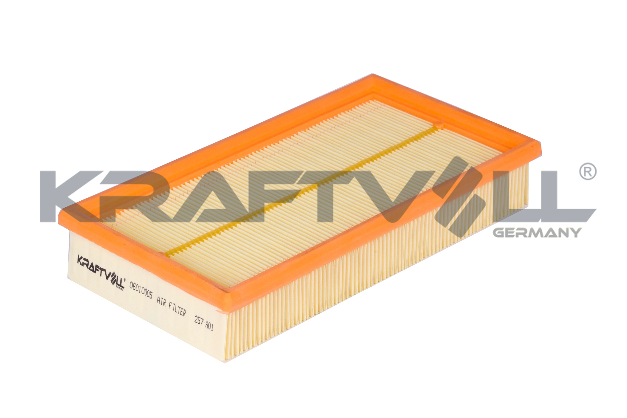 Air Filter (06010005)