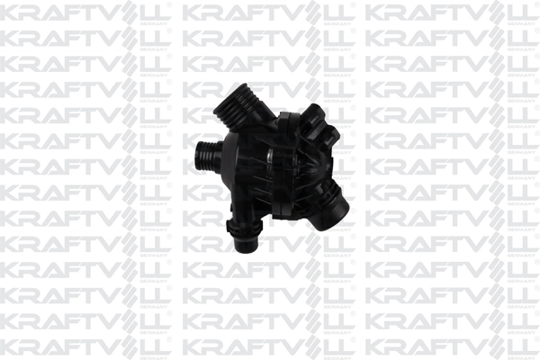 Thermostat, coolant (08100154)