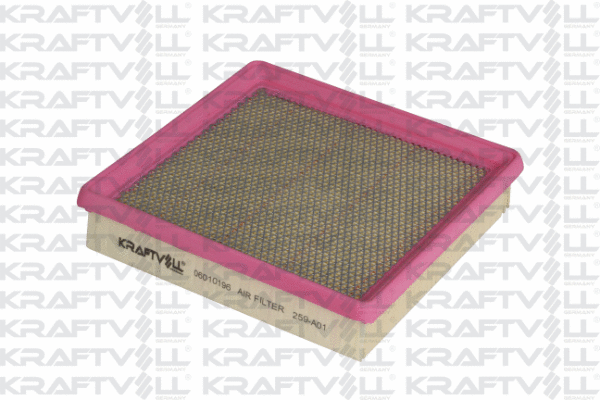 Air Filter (06010196)