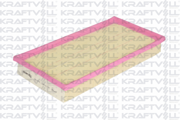 Air Filter (06010175)