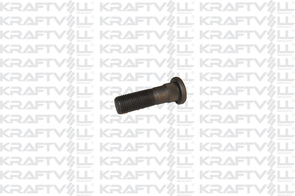 Wheel Bolt (21020017)