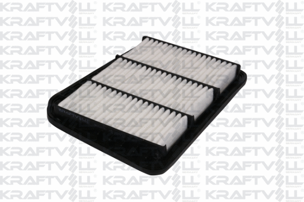 Air Filter (06010136)