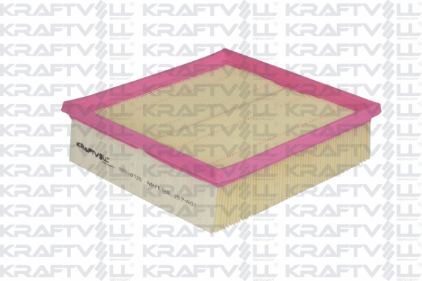 Air Filter (06010125)