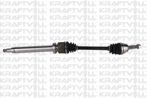 Drive Shaft (01010369)