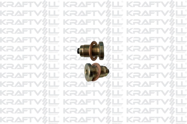 Screw Plug, oil sump (21030472)